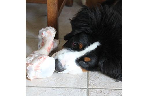 Marrow Bones - Whole - Cut into 3 (2kg)