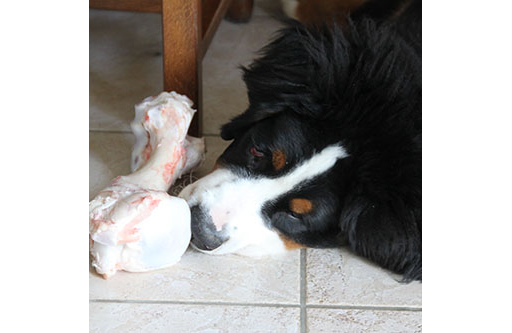 Marrow Bones - Whole - Cut into 3 (2kg)