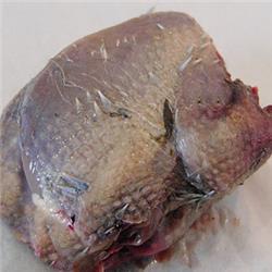 Partridge (300g)