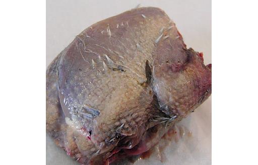 Partridge (300g)