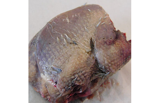 Partridge (300g)