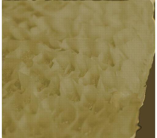 Honeycomb Tripe - UNCOOKED