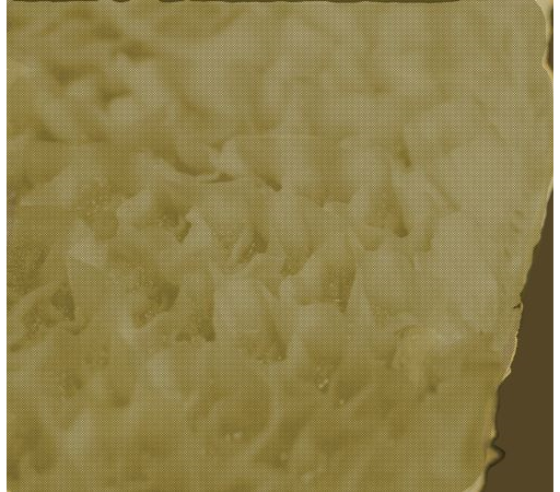 Honeycomb Tripe - UNCOOKED