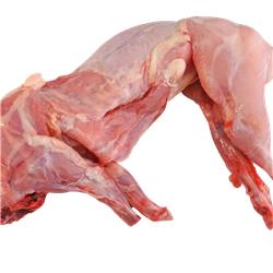 Whole Rabbit (800 gram)