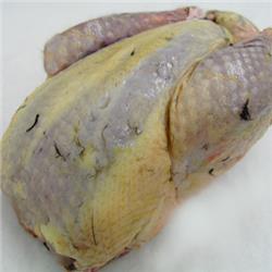 Pheasant (400g)