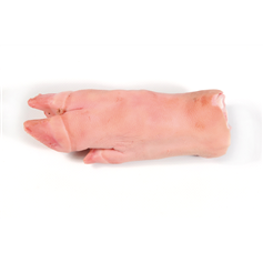 trotters